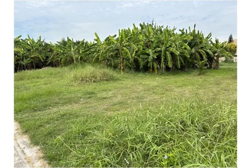 ที่ดินบางบอน3 ซ.5 ที่ดินพร้อมสิ่งปลูกสร้าง